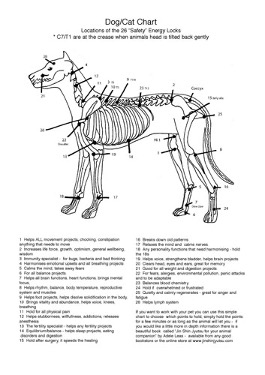 Positive Defence - Jin Jitsu Pets